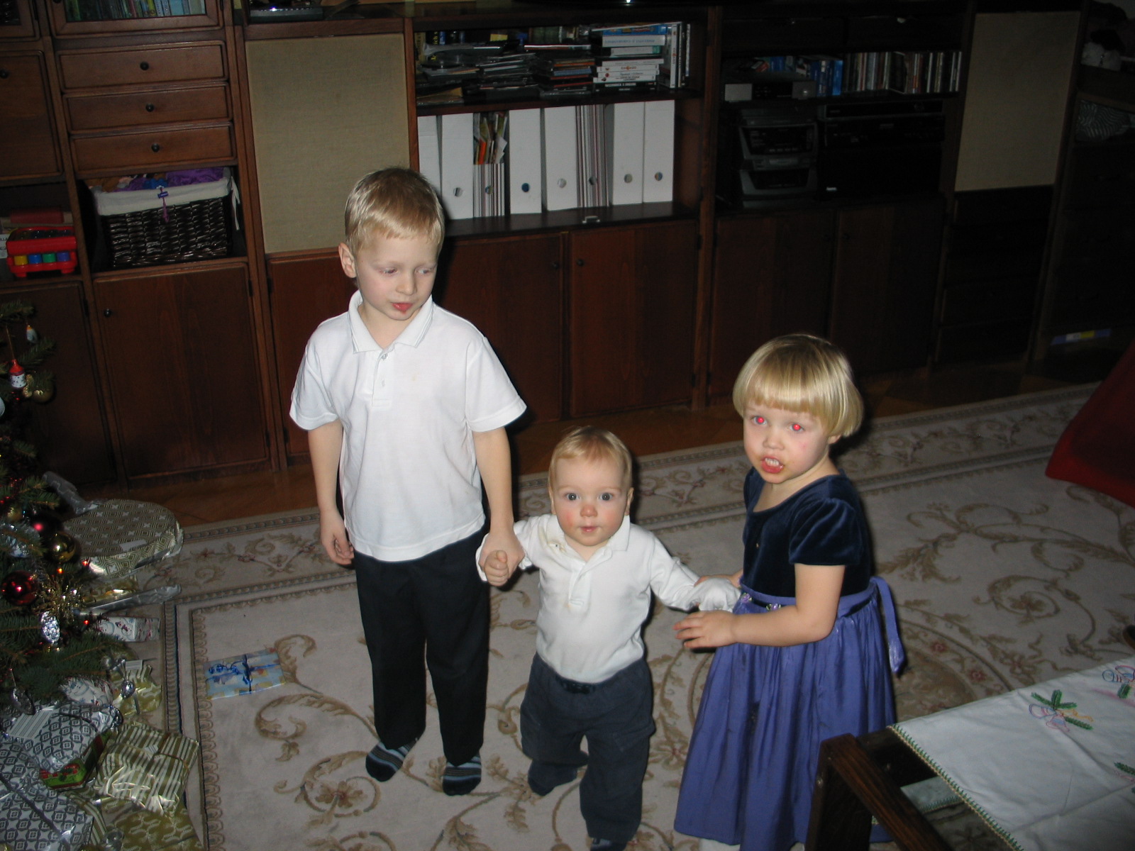 vánoce 2009 023.JPG