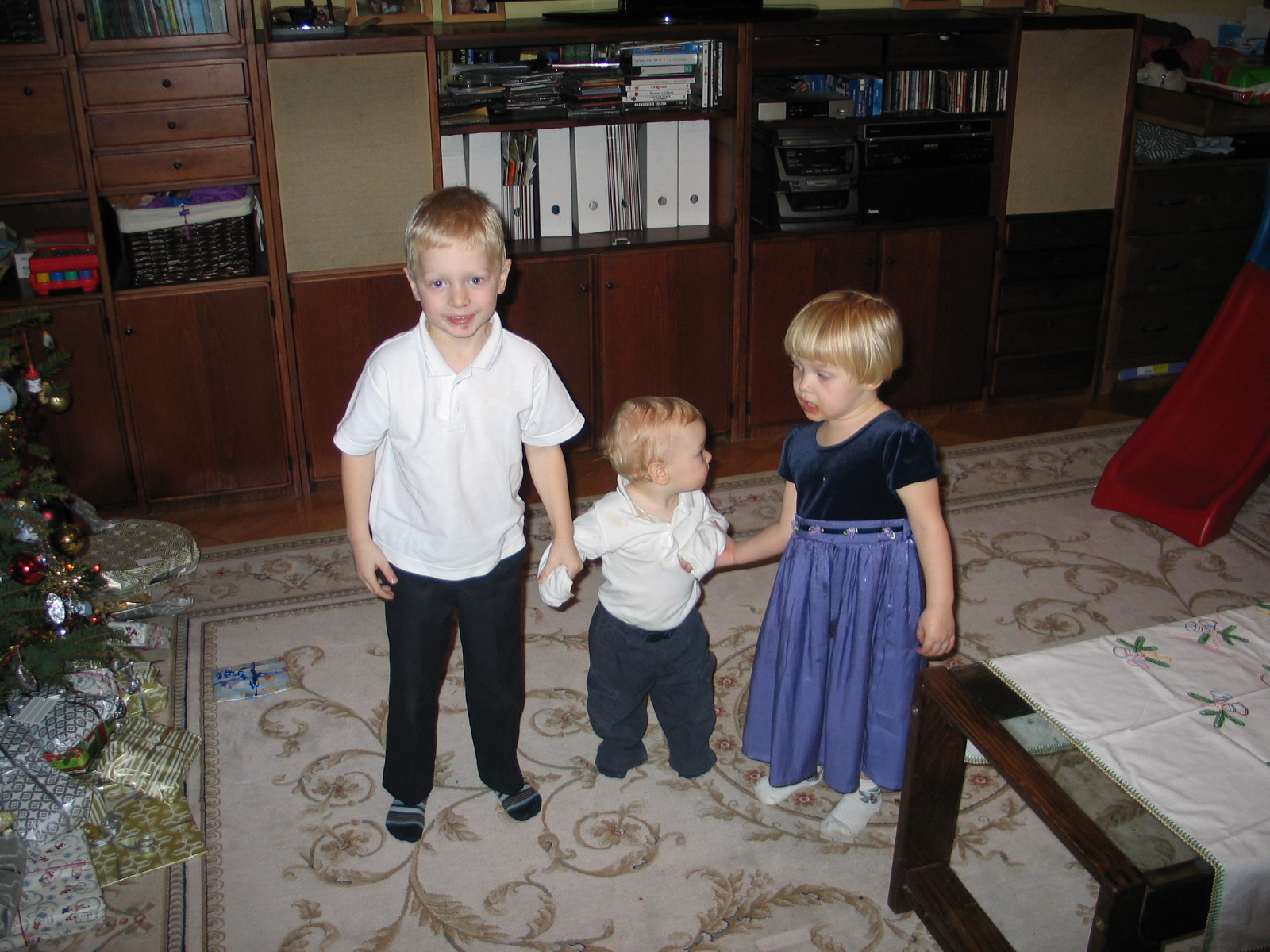 vánoce 2009 024.JPG