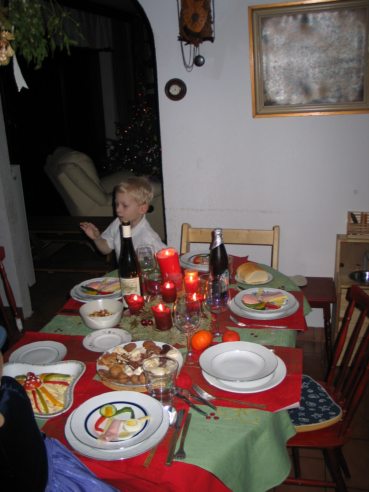 vánoce 2009 014.JPG